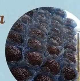 33dcbbab-4fc4-4565-8af3-954e9ea749c7