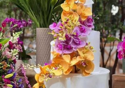 c9fb4aed-9e4c-470d-8d6b-f9b4d4ea2cde