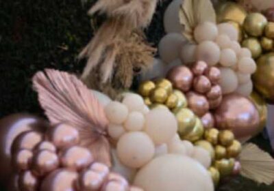 dddbb5e8-a2fd-4c45-9708-3207c7ee1b6f