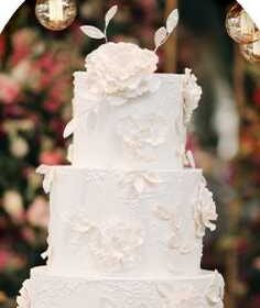 91202831-166c-43a1-a424-da028d39c324