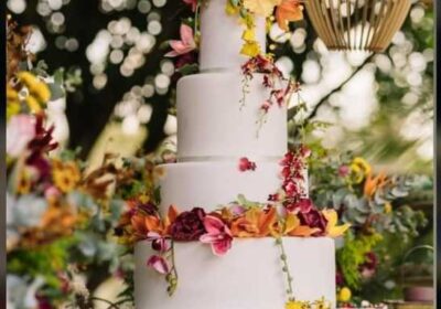 95cca795-0e60-4a7d-af8e-fcc9004aae70