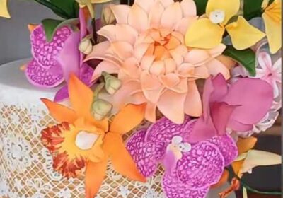 98c8ed8f-9c30-4b91-afa5-52f3e788ded7