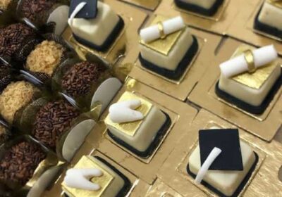 a48dbbbf-cb46-4169-8fbf-be6b1a576362