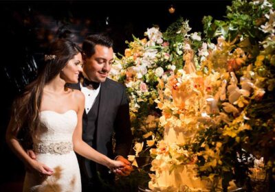 ba9010cd-0d01-4e5b-b361-50c4c2656527