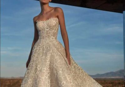 ccc81ff5-de02-4df2-ae60-72884a2270e4