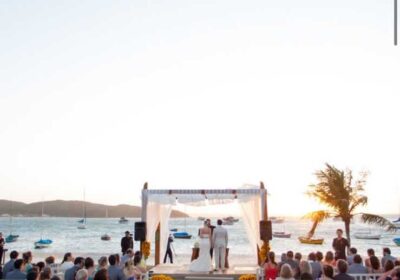 d2f53e62-faaf-453c-accf-7f783c7fbb5d