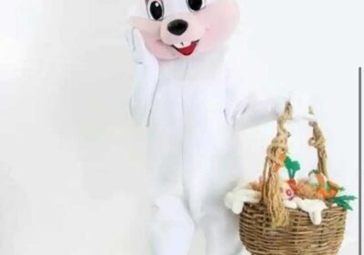 f1b3eac0-1a50-4500-bcbf-be67e7bf7e89