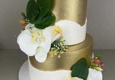 f653794f-08cb-4780-873b-5c5c596bdb66