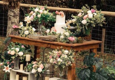 5e8edba3-b439-4f0b-aa99-aa8a55dca220