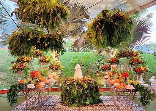 Ana Monteiro eventos