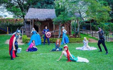 metamorphose transformando sonho em realidade “