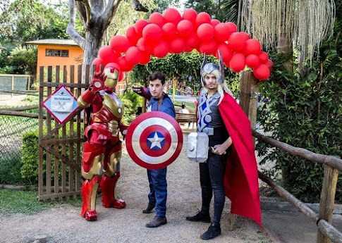 metamorphose transformando sonho em realidade “