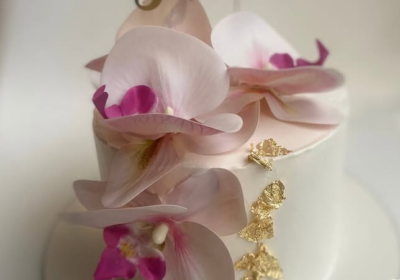 948d541d-056e-4eef-9fc0-0f2442492ede