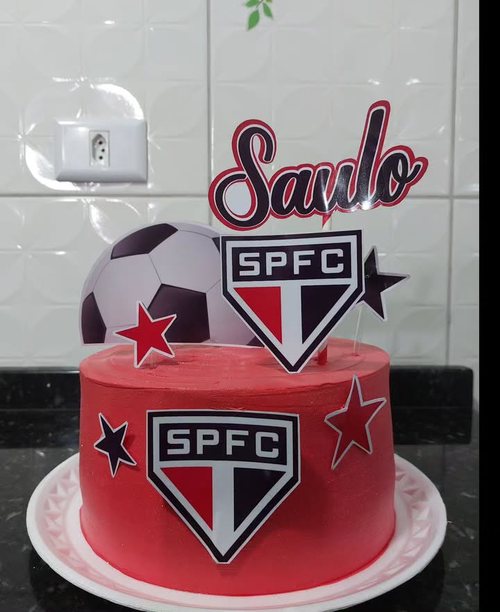 dineia Ribeiroo